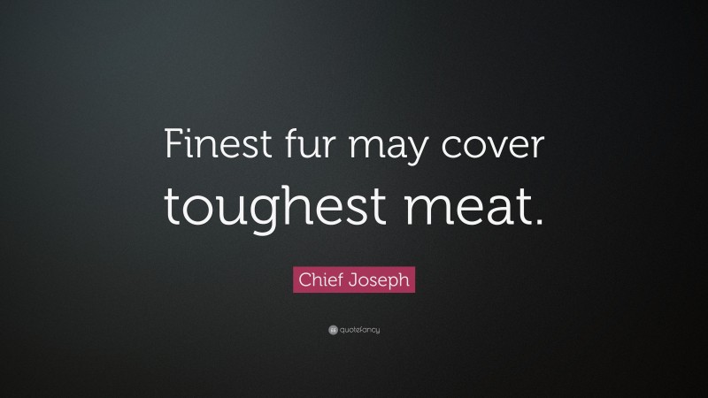 Chief Joseph Quote: “Finest fur may cover toughest meat.”