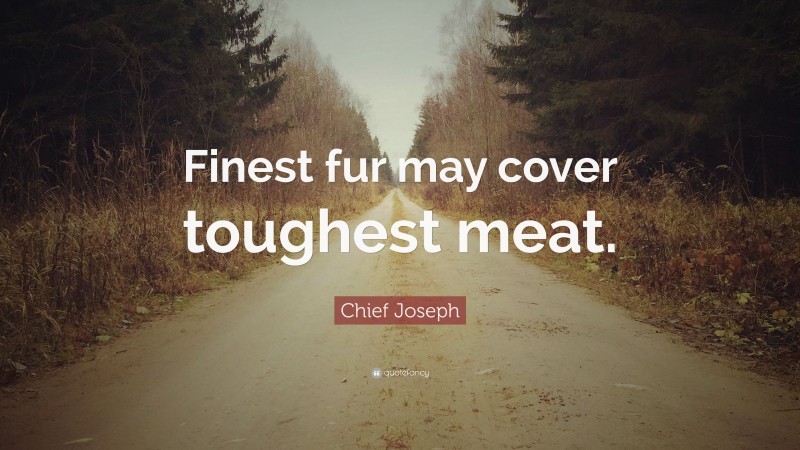 Chief Joseph Quote: “Finest fur may cover toughest meat.”