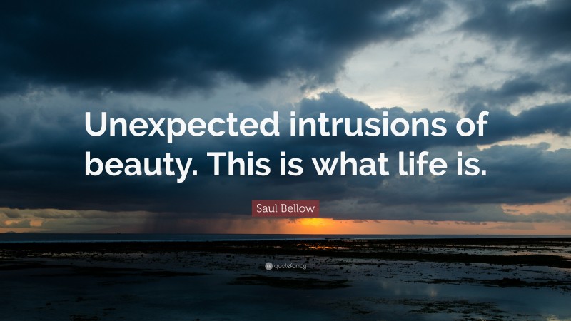 Saul Bellow Quote: “Unexpected intrusions of beauty. This is what life is.”