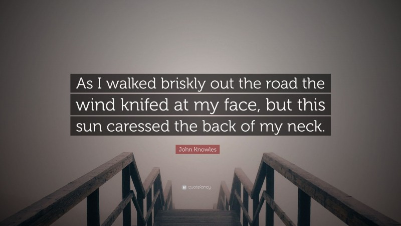 John Knowles Quote: “As I walked briskly out the road the wind knifed at my face, but this sun caressed the back of my neck.”