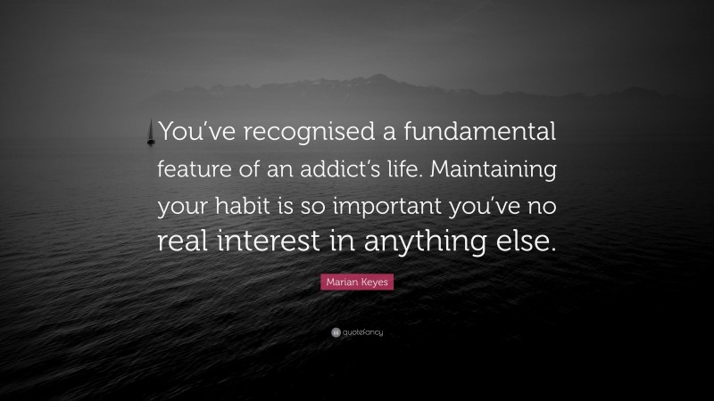 Marian Keyes Quote: “You’ve recognised a fundamental feature of an addict’s life. Maintaining your habit is so important you’ve no real interest in anything else.”