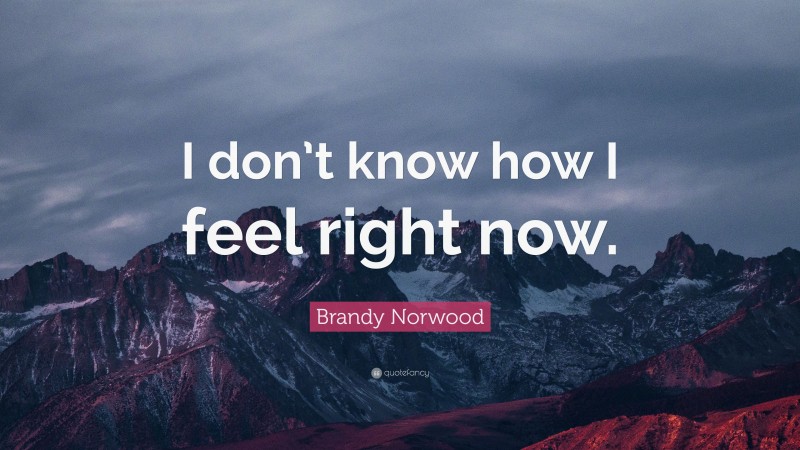 Brandy Norwood Quote: “I don’t know how I feel right now.”