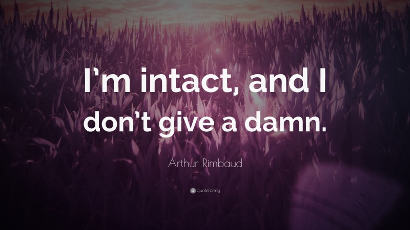 Arthur Rimbaud Quote: “I’m intact, and I don’t give a damn.”