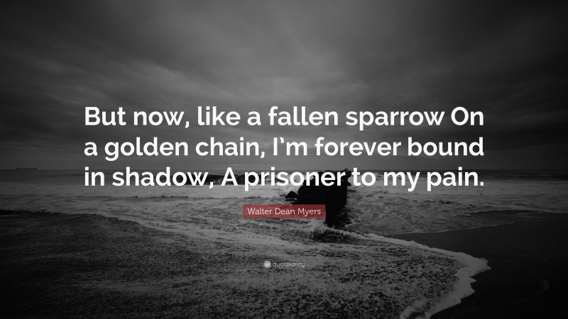 Walter Dean Myers Quote: “But now, like a fallen sparrow On a golden chain, I’m forever bound in shadow, A prisoner to my pain.”