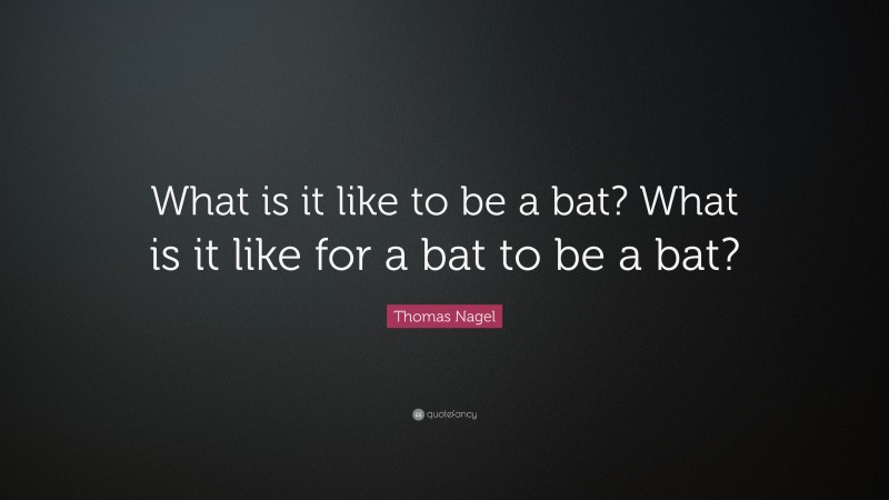 Thomas Nagel Quote: “What is it like to be a bat? What is it like for a bat to be a bat?”