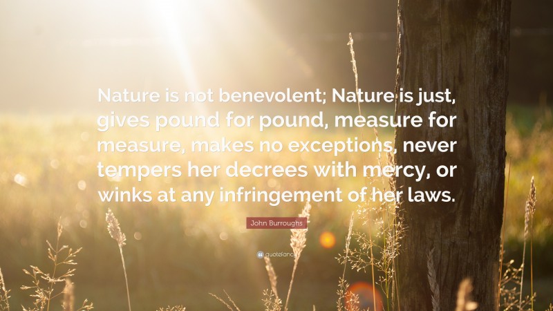 John Burroughs Quote: “Nature is not benevolent; Nature is just, gives pound for pound, measure for measure, makes no exceptions, never tempers her decrees with mercy, or winks at any infringement of her laws.”