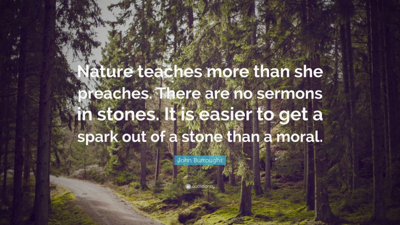 John Burroughs Quote: “Nature teaches more than she preaches. There are no sermons in stones. It is easier to get a spark out of a stone than a moral.”