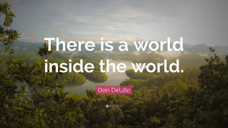 Don DeLillo Quote: “There is a world inside the world.”