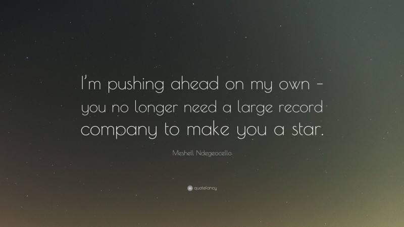 Meshell Ndegeocello Quote: “I’m pushing ahead on my own – you no longer need a large record company to make you a star.”