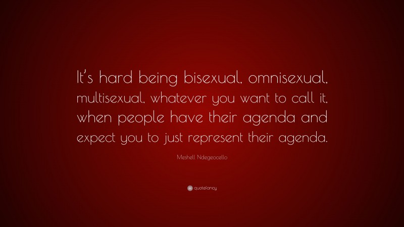 Meshell Ndegeocello Quote: “It’s hard being bisexual, omnisexual, multisexual, whatever you want to call it, when people have their agenda and expect you to just represent their agenda.”