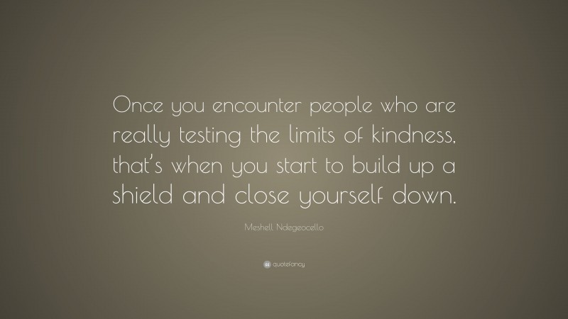 Meshell Ndegeocello Quote: “Once you encounter people who are really testing the limits of kindness, that’s when you start to build up a shield and close yourself down.”