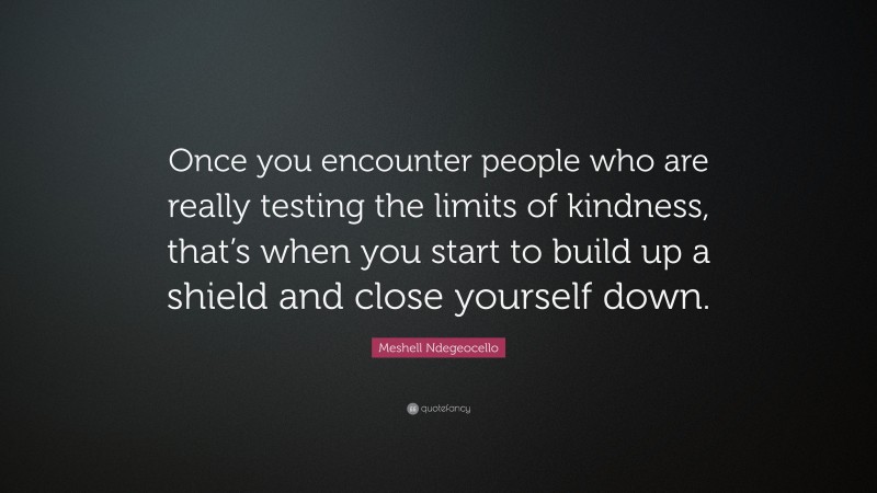 Meshell Ndegeocello Quote: “Once you encounter people who are really testing the limits of kindness, that’s when you start to build up a shield and close yourself down.”