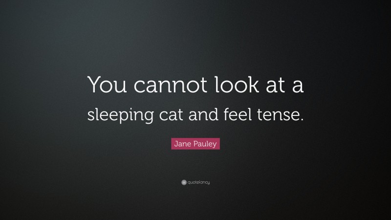 Jane Pauley Quote: “You cannot look at a sleeping cat and feel tense.”