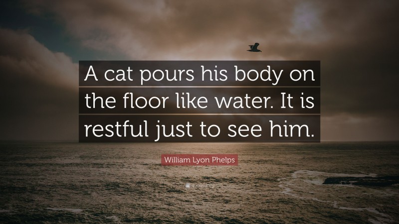 William Lyon Phelps Quote: “A cat pours his body on the floor like water. It is restful just to see him.”