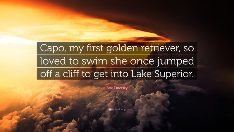 Sara Paretsky Quote: “Capo, my first golden retriever, so loved to swim she once jumped off a cliff to get into Lake Superior.”