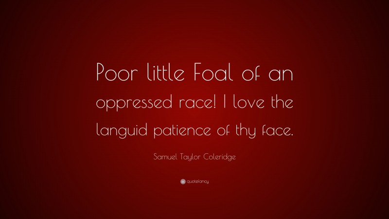 Samuel Taylor Coleridge Quote: “Poor little Foal of an oppressed race! I love the languid patience of thy face.”
