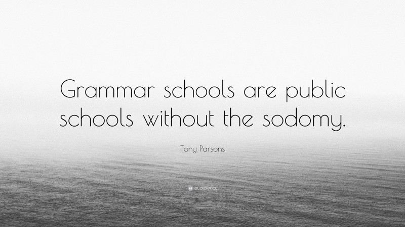 Tony Parsons Quote: “Grammar schools are public schools without the sodomy.”