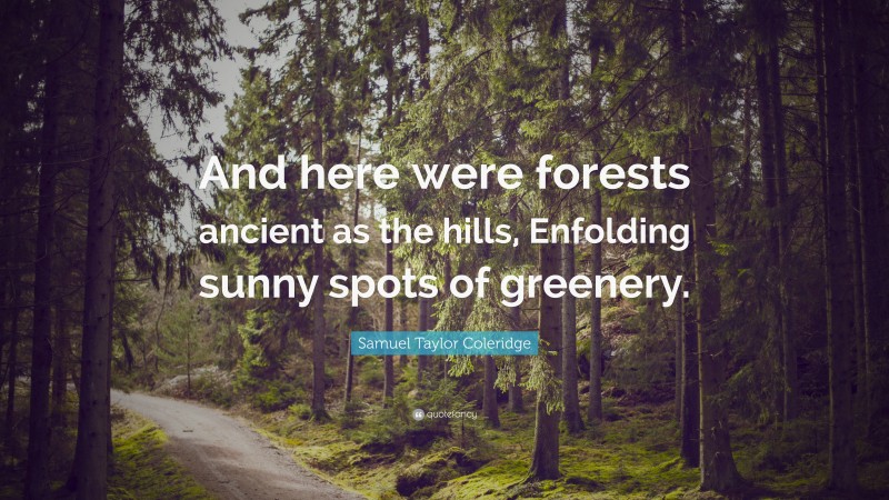 Samuel Taylor Coleridge Quote: “And here were forests ancient as the hills, Enfolding sunny spots of greenery.”