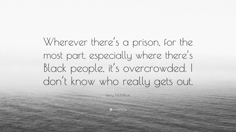 Terry McMillan Quote: “Wherever there’s a prison, for the most part, especially where there’s Black people, it’s overcrowded. I don’t know who really gets out.”