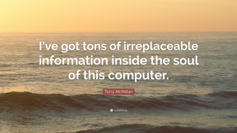 Terry McMillan Quote: “I’ve got tons of irreplaceable information inside the soul of this computer.”