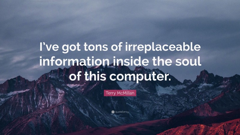 Terry McMillan Quote: “I’ve got tons of irreplaceable information inside the soul of this computer.”