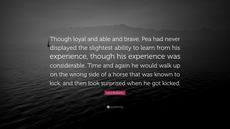Larry McMurtry Quote: “Though loyal and able and brave, Pea had never displayed the slightest ability to learn from his experience, though his experience was considerable. Time and again he would walk up on the wrong side of a horse that was known to kick, and then look surprised when he got kicked.”