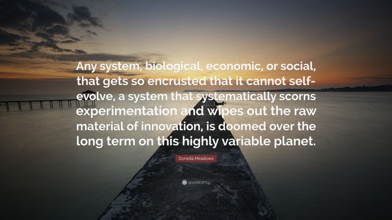 Donella Meadows Quote: “Any system, biological, economic, or social, that gets so encrusted that it cannot self-evolve, a system that systematically scorns experimentation and wipes out the raw material of innovation, is doomed over the long term on this highly variable planet.”