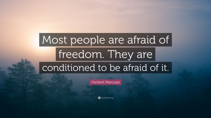 Herbert Marcuse Quote: “Most people are afraid of freedom. They are conditioned to be afraid of it.”