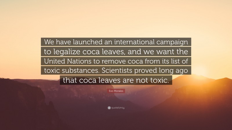 Evo Morales Quote: “We have launched an international campaign to legalize coca leaves, and we want the United Nations to remove coca from its list of toxic substances. Scientists proved long ago that coca leaves are not toxic.”