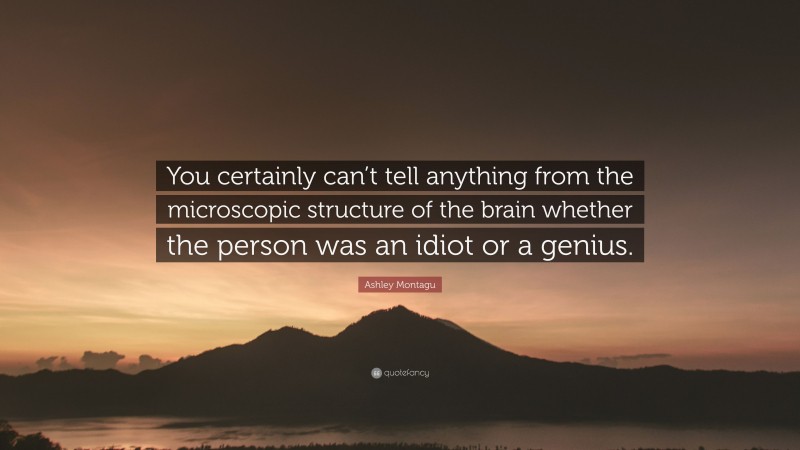 Ashley Montagu Quote: “You certainly can’t tell anything from the microscopic structure of the brain whether the person was an idiot or a genius.”