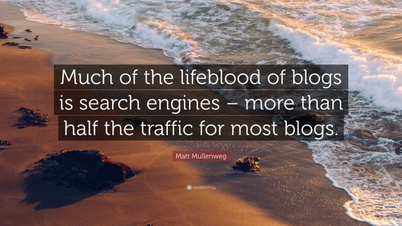 Matt Mullenweg Quote: “Much of the lifeblood of blogs is search engines – more than half the traffic for most blogs.”