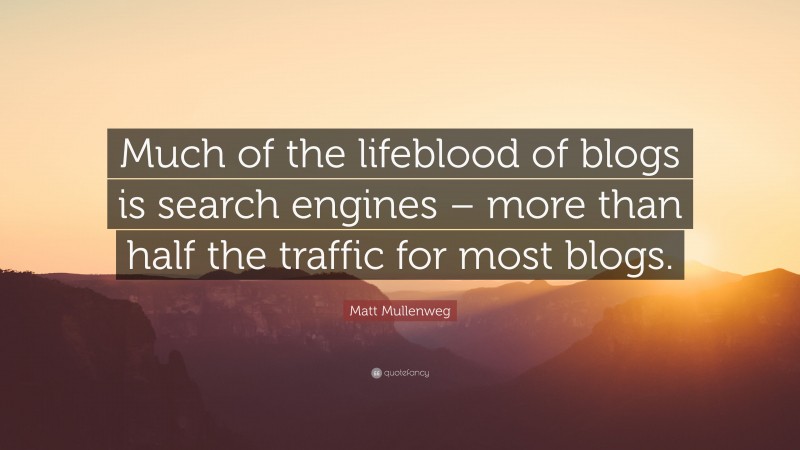 Matt Mullenweg Quote: “Much of the lifeblood of blogs is search engines – more than half the traffic for most blogs.”