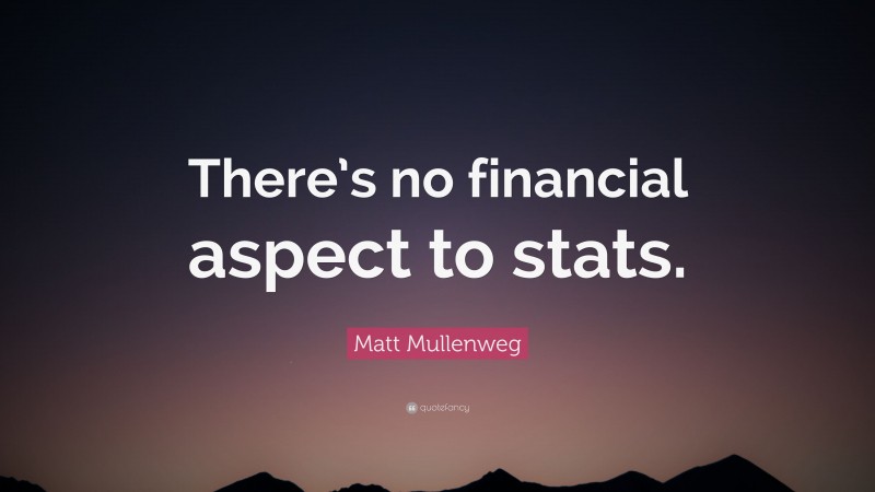 Matt Mullenweg Quote: “There’s no financial aspect to stats.”