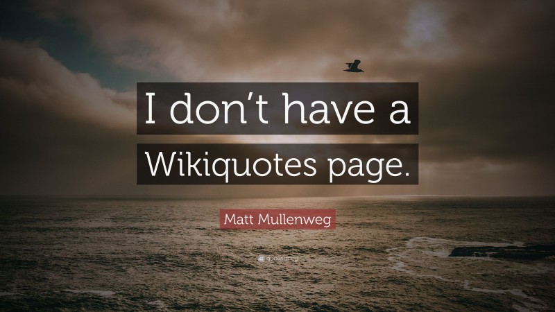 Matt Mullenweg Quote: “I don’t have a Wikiquotes page.”