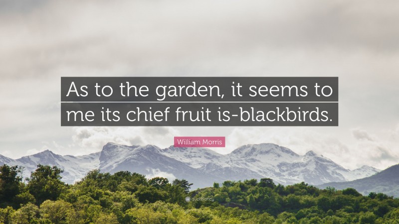 William Morris Quote: “As to the garden, it seems to me its chief fruit is-blackbirds.”