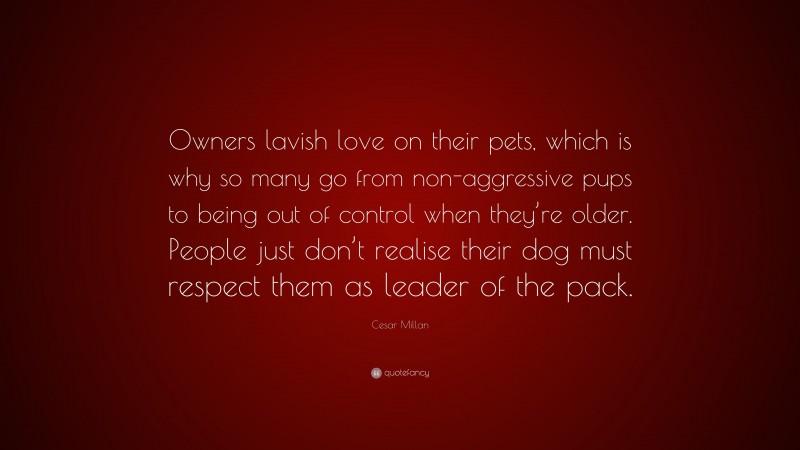Cesar Millan Quote: “Owners lavish love on their pets, which is why so many go from non-aggressive pups to being out of control when they’re older. People just don’t realise their dog must respect them as leader of the pack.”