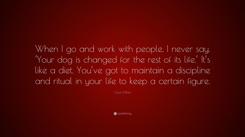 Cesar Millan Quote: “When I go and work with people, I never say, ‘Your dog is changed for the rest of its life.’ It’s like a diet. You’ve got to maintain a discipline and ritual in your life to keep a certain figure.”