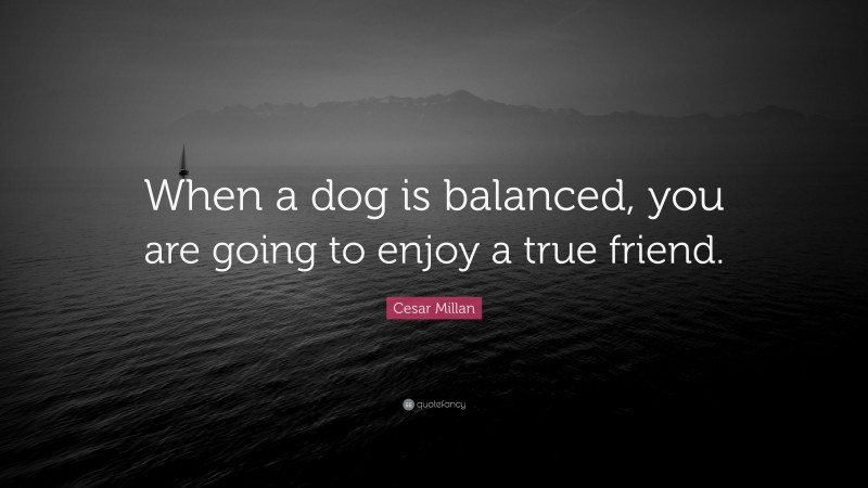 Cesar Millan Quote: “When a dog is balanced, you are going to enjoy a true friend.”