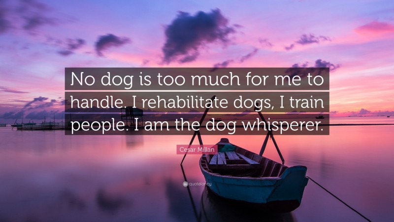 Cesar Millan Quote: “No dog is too much for me to handle. I rehabilitate dogs, I train people. I am the dog whisperer.”
