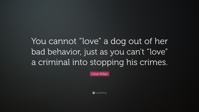 Cesar Millan Quote: “You cannot “love” a dog out of her bad behavior, just as you can’t “love” a criminal into stopping his crimes.”