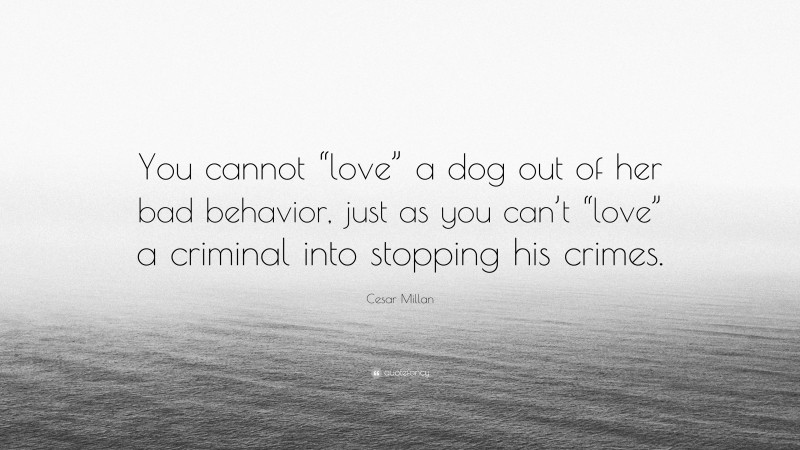 Cesar Millan Quote: “You cannot “love” a dog out of her bad behavior, just as you can’t “love” a criminal into stopping his crimes.”