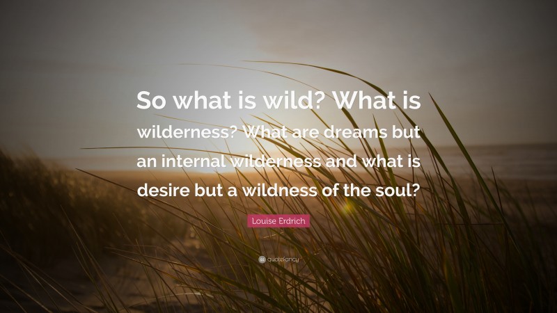 Louise Erdrich Quote: “So what is wild? What is wilderness? What are dreams but an internal wilderness and what is desire but a wildness of the soul?”