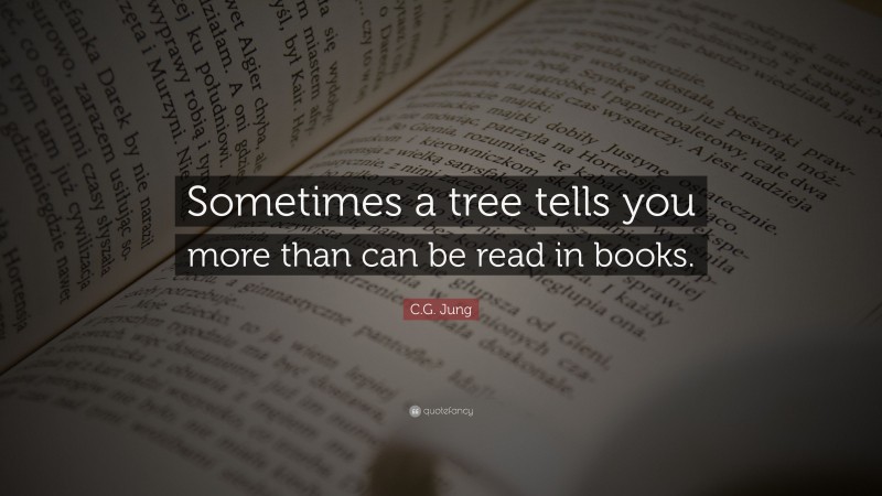 C.G. Jung Quote: “Sometimes a tree tells you more than can be read in books.”