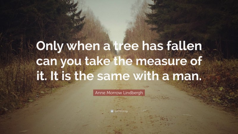 Anne Morrow Lindbergh Quote: “Only when a tree has fallen can you take the measure of it. It is the same with a man.”