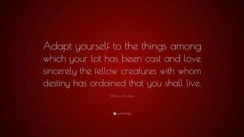 Marcus Aurelius Quote: “Adapt yourself to the things among which your lot has been cast and love sincerely the fellow creatures with whom destiny has ordained that you shall live.”