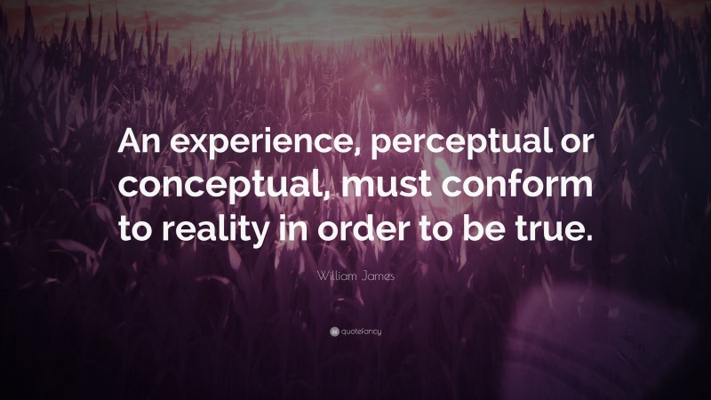 William James Quote: “An experience, perceptual or conceptual, must conform to reality in order to be true.”