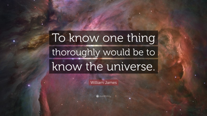 William James Quote: “To know one thing thoroughly would be to know the universe.”