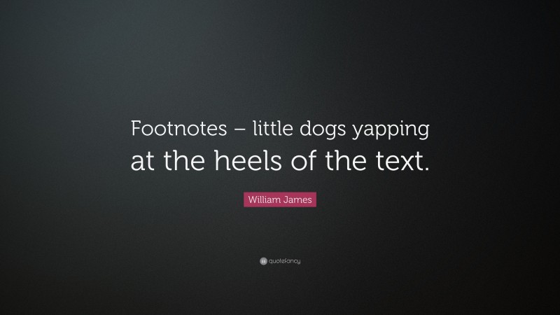 William James Quote: “Footnotes – little dogs yapping at the heels of the text.”