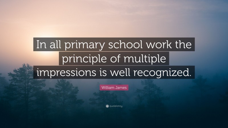 William James Quote: “In all primary school work the principle of multiple impressions is well recognized.”