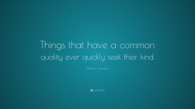 Marcus Aurelius Quote: “Things that have a common quality ever quickly seek their kind.”